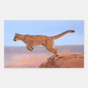 Mountain Lion Rechthoekige Sticker