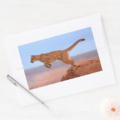 Mountain Lion Rechthoekige Sticker (Envelop)
