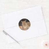 Mountain Lion Ronde Sticker (Envelop)