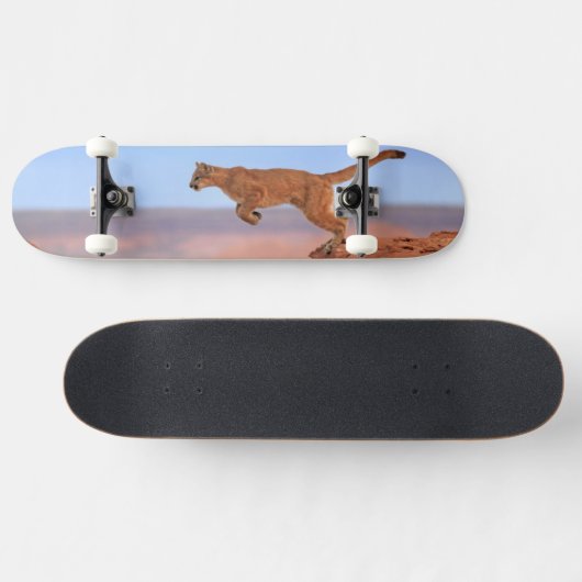 Mountain Lion Skateboard (Horizontaal)