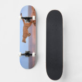 Mountain Lion Skateboard (Voorkant)