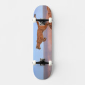Mountain Lion Skateboard (Voorkant)