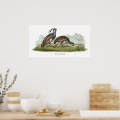 Mountain Quail, John Audubon Poster (Keuken)