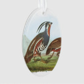 Mountain Quail van Audubon Ornament (voorkant)