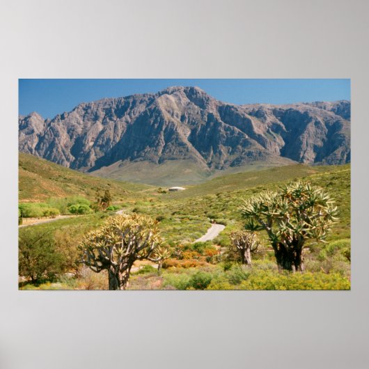Mountain Range, Worcester Nature Reserve Poster (Voorkant)