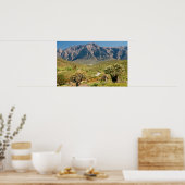 Mountain Range, Worcester Nature Reserve Poster (Keuken)