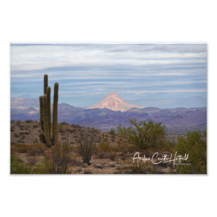Mountain Saguaro Foto Afdruk