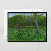 Mountain Serenity Postcard Briefkaart (Voorkant / Achterkant)