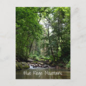 Mountain Stream Blue Ridge Mountains NC Briefkaart (Voorkant)