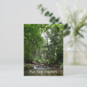 Mountain Stream Blue Ridge Mountains NC Briefkaart (Staand voorkant)