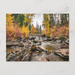 Mountain Stream in de herfst / Herfst Foto Briefkaart
