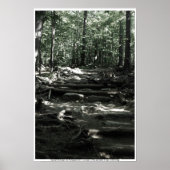 Mountain Trail Poster (Voorkant)