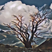 MOUNTAIN TREE MUISMAT