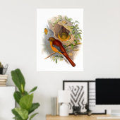Mountain Trogon Poster (Thuiskantoor)
