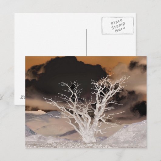 MOUNTAIN WINTER BRIEFKAART (Voorkant / Achterkant)