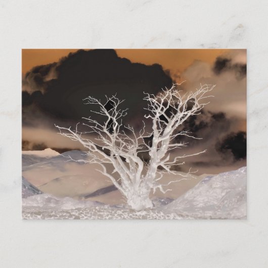 MOUNTAIN WINTER BRIEFKAART (Voorkant)