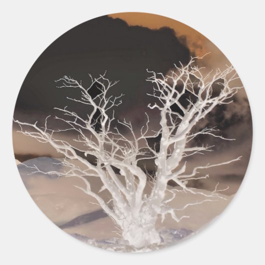 MOUNTAIN WINTER RONDE STICKER (Voorkant)