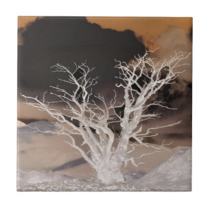 MOUNTAIN WINTER TEGELTJE