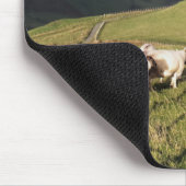 MOUNTAIRE SCHAPEN MUISMAT (Hoek)