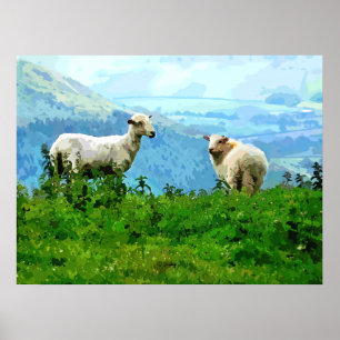 MOUNTAIRE SCHAPEN POSTER