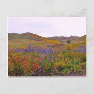 Mountiaanse kleuren briefkaart