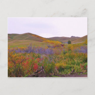 Mountiaanse kleuren briefkaart