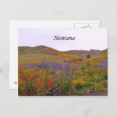 Mountiaanse kleuren, Montana Briefkaart (Voorkant / Achterkant)