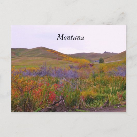 Mountiaanse kleuren, Montana Briefkaart (Voorkant)