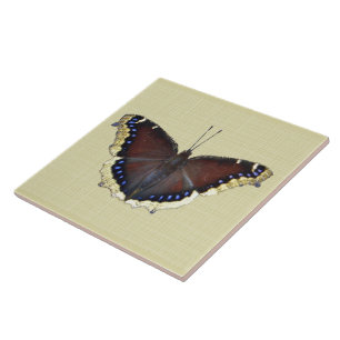 Mourning Cloak Butterfly - Nymphalis antiopa Tegeltje