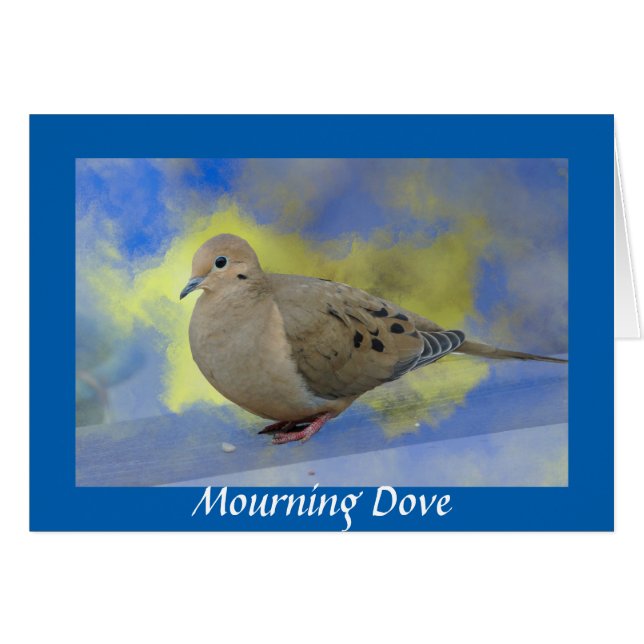 Mourning Dove (Voorkant Horizontaal)
