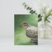 Mourning Dove Bird Art Briefkaart (Staand voorkant)
