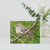 Mourning Dove Bird Briefkaart (Staand voorkant)