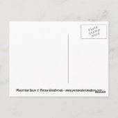 Mourning Dove Bird Briefkaart (Achterkant)