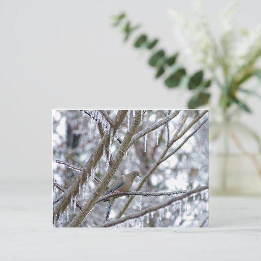 Mourning Dove Briefkaart (Staand voorkant)