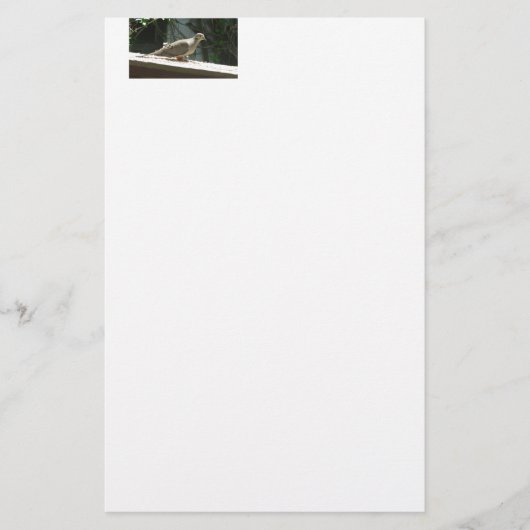 Mourning Dove Briefpapier (Voorkant)