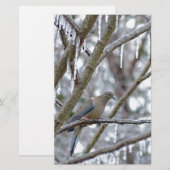 Mourning Dove Briefpapier (Voorkant / Achterkant)