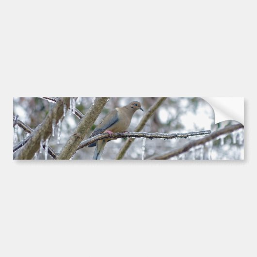 Mourning Dove Bumpersticker (Voorkant)