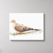 Mourning Dove Canvas Afdruk (Voorkant)