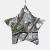 Mourning Dove Ceramic Ornament (Achterkant)