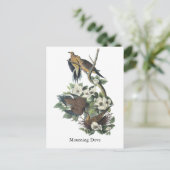 Mourning Dove, John Audubon Briefkaart (Staand voorkant)