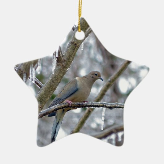 Mourning Dove Keramisch Ornament (Voorkant)