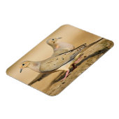 Mourning Dove Magneet (Linkerzijde)