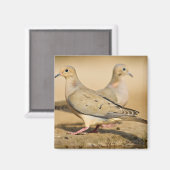Mourning Dove Magneet (Voorkant / Achterkant)