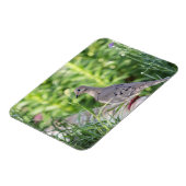 Mourning Dove Magneet (Linkerzijde)