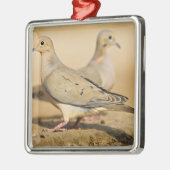 Mourning Dove Metalen Ornament (Links)