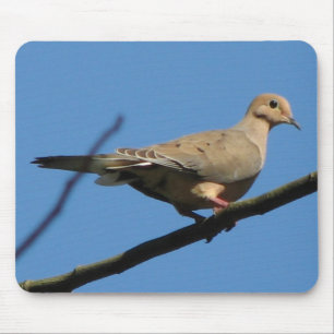 Mourning Dove Mousepad Muismat