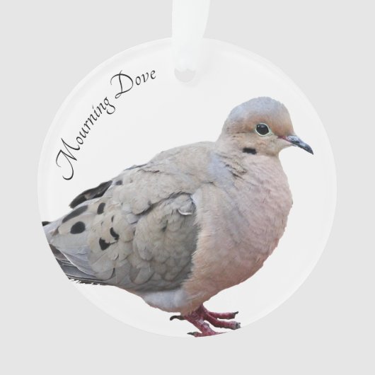Mourning Dove Ornament (voorkant)