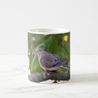 Mourning Dove Photo Koffiemok
