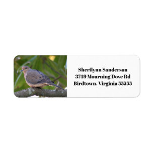Mourning Dove Photo Return Address Etiket