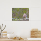 Mourning Dove Poster (Keuken)